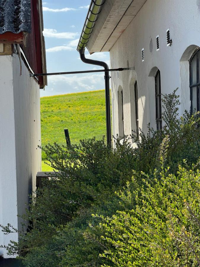 Backadal Gard Bnb Истад Екстериор снимка