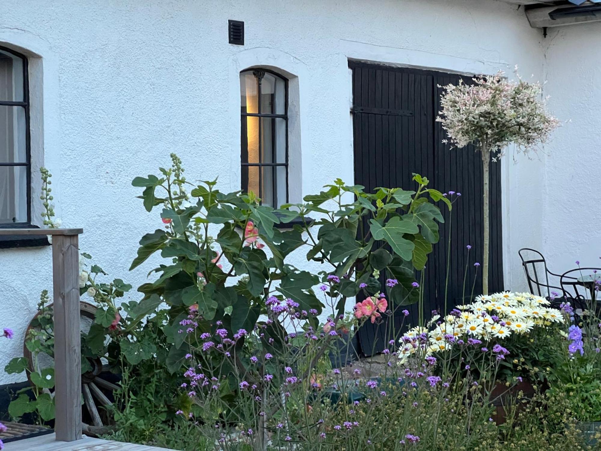Backadal Gard Bnb Истад Екстериор снимка