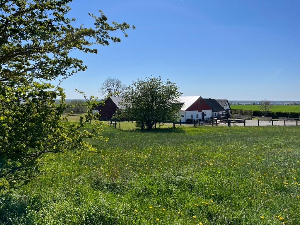 Backadal Gard Bnb Истад Екстериор снимка